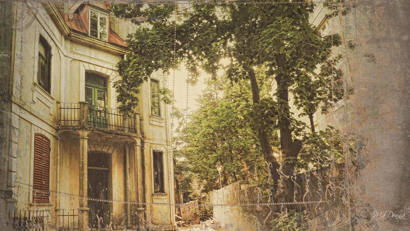 Old Building with Trees