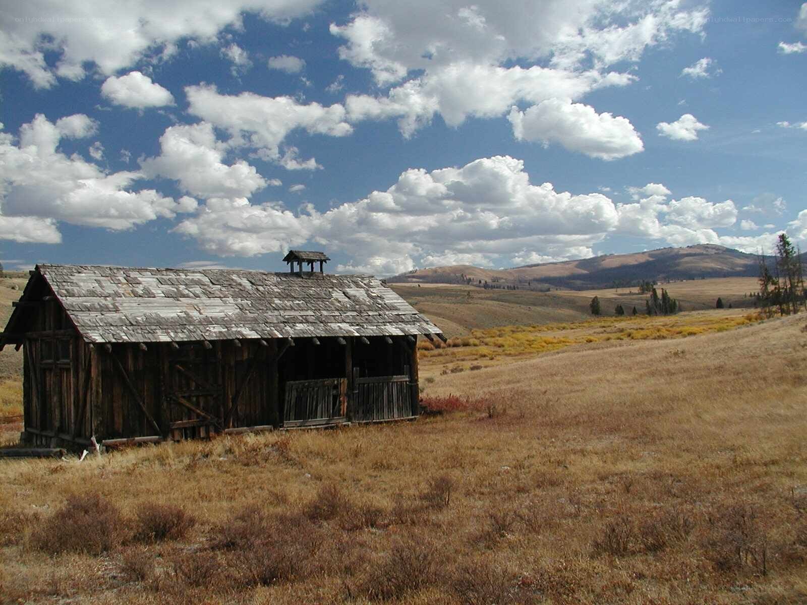 Old cabin in a dry field