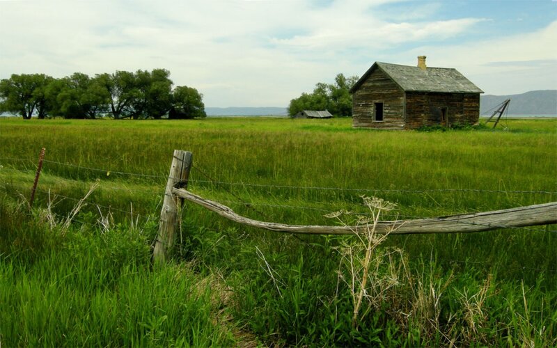 Old cabin in a green field