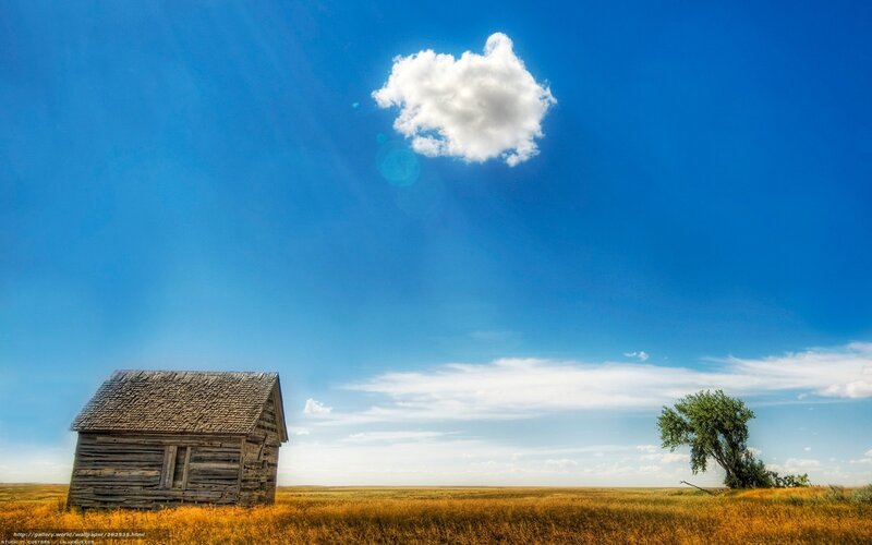 Old cabin in a vast field