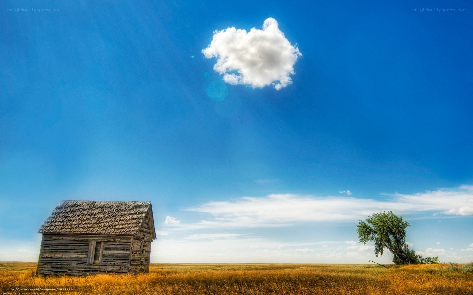 Old cabin in a vast field