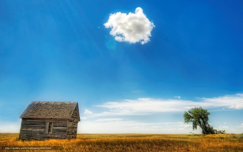 Old cabin in a vast field