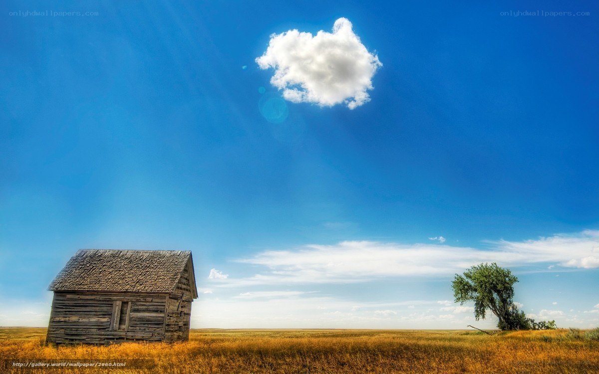 Old cabin in a vast field