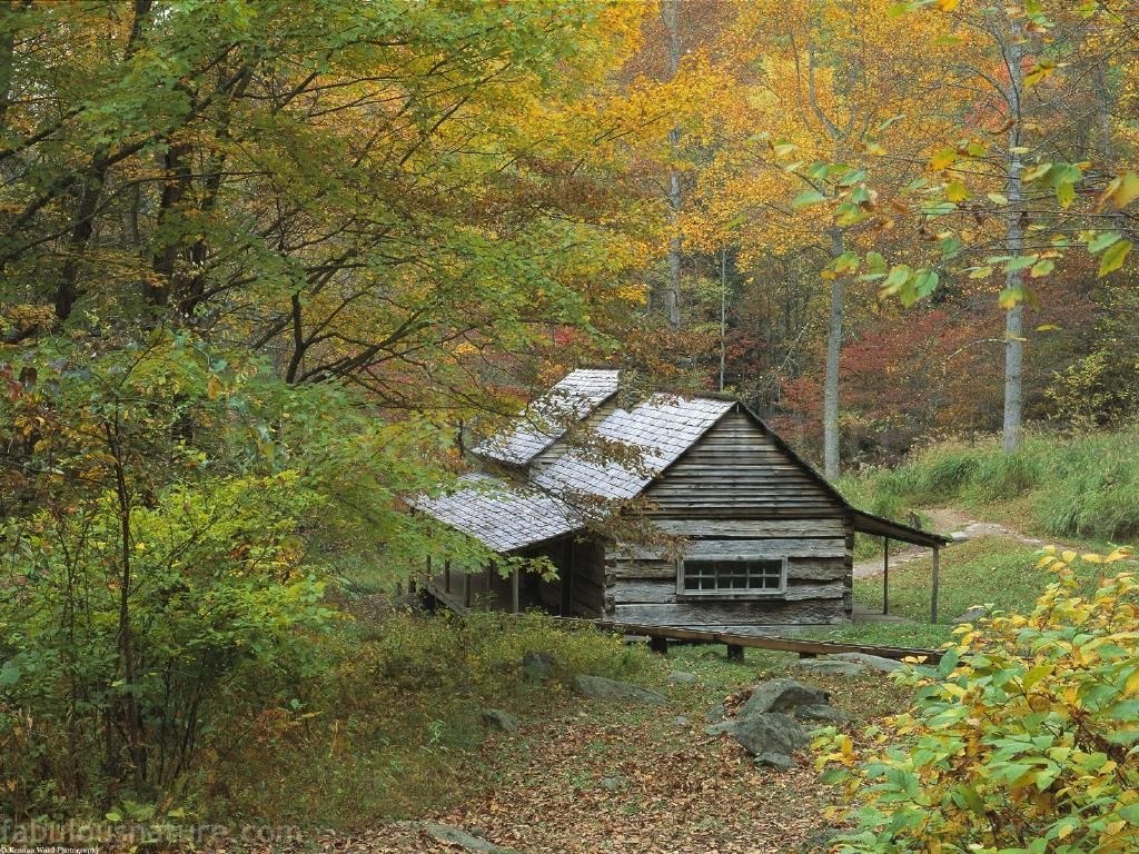 Old cabin in autumn forest
