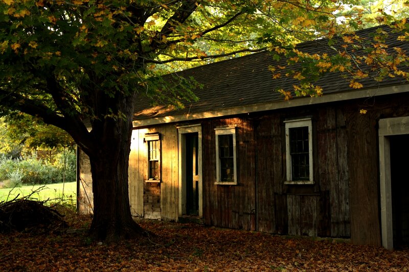 Old cabin in autumn forest