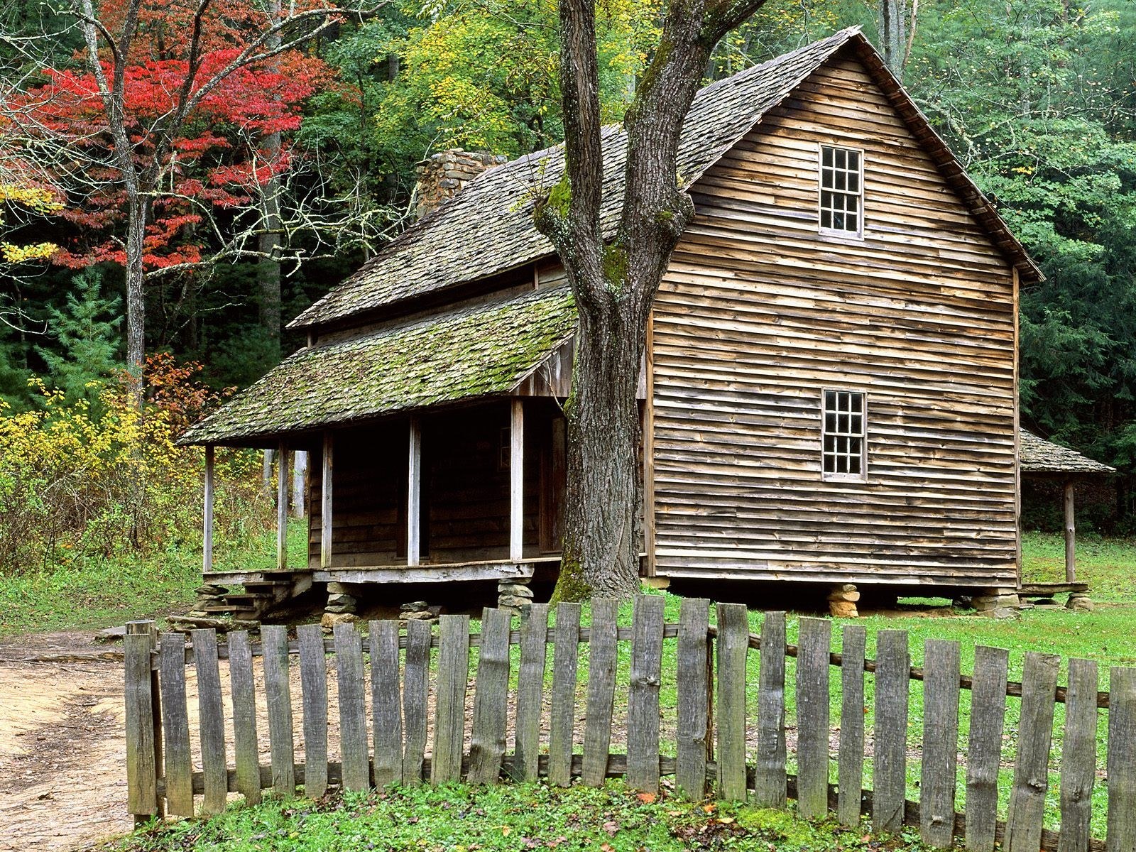 Old cabin in autumn forest