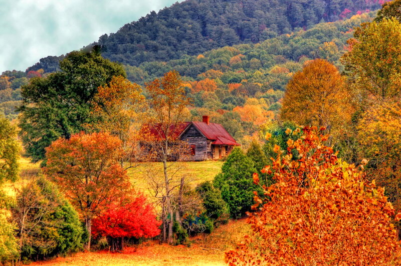 Old Cabin in Autumn — Orange