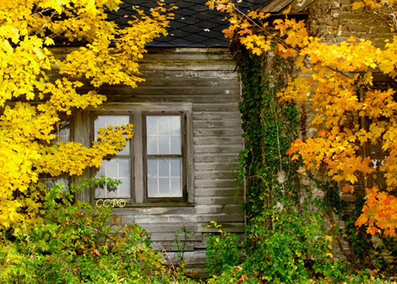 Old Cabin in Autumn