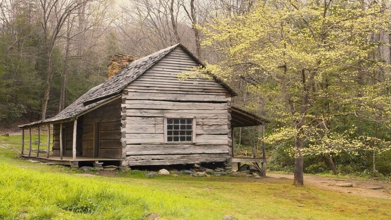 Old cabin in forest