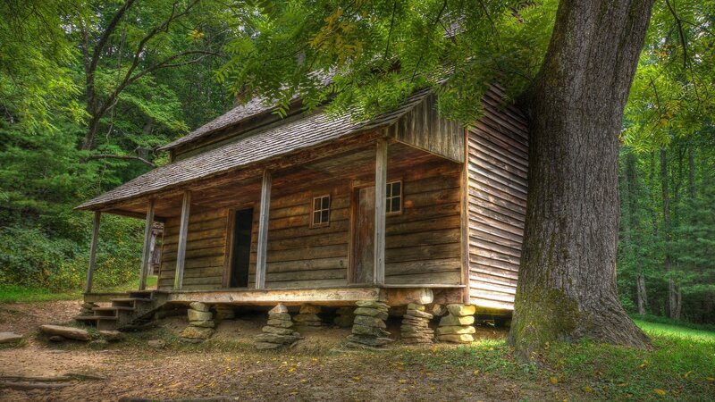 Old cabin in forest