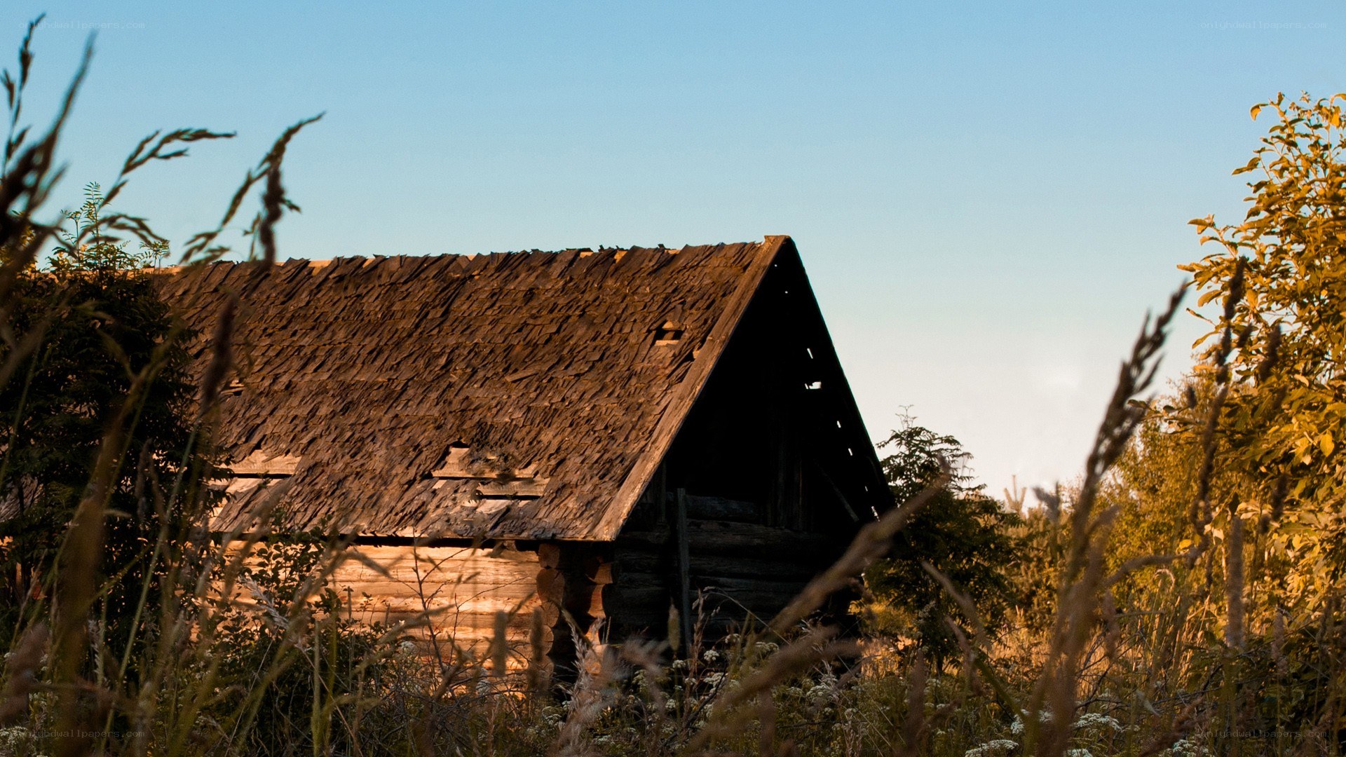 Old cabin in the field