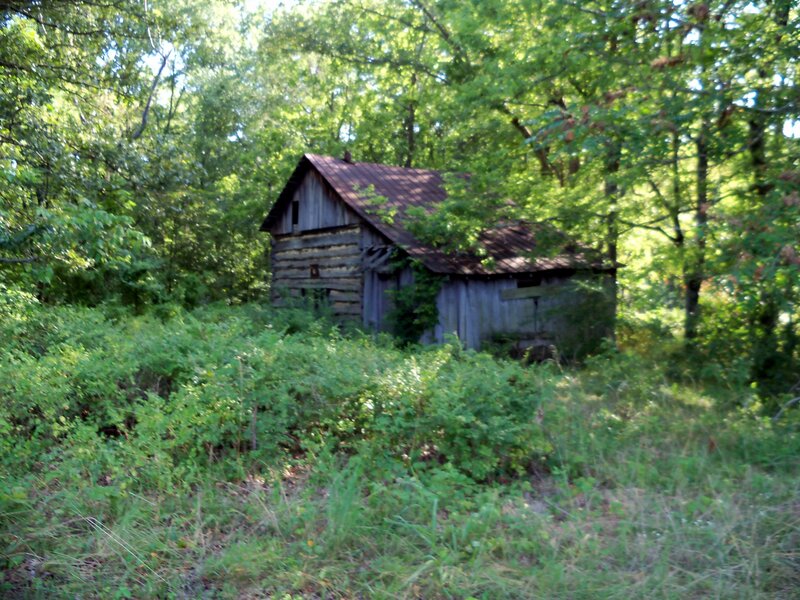 Old cabin in the woods