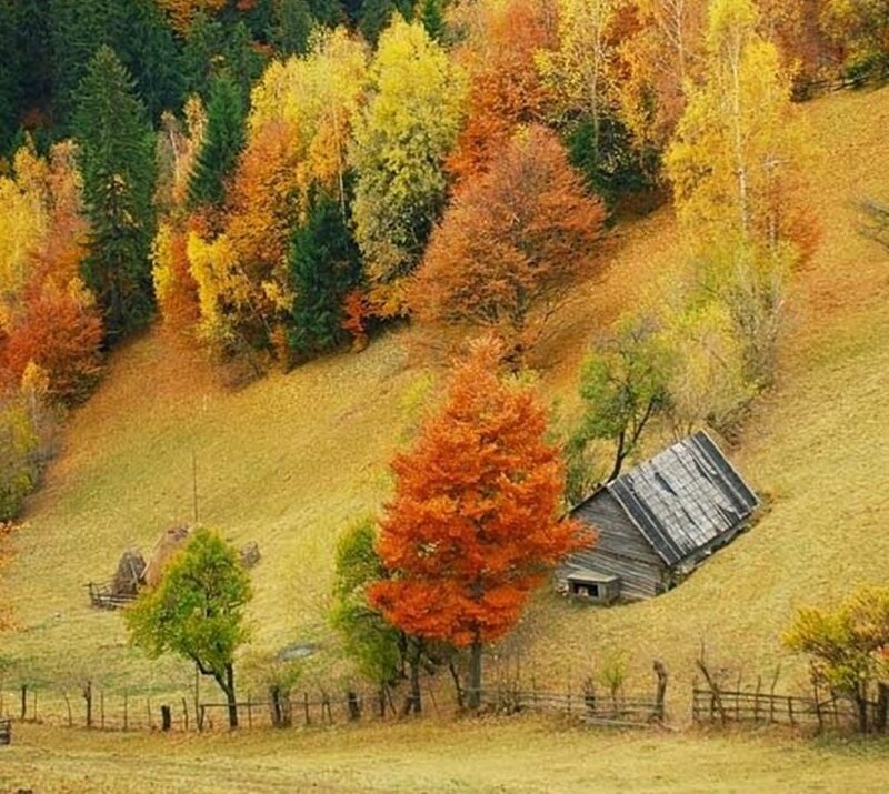 Old Cabin on Hillside