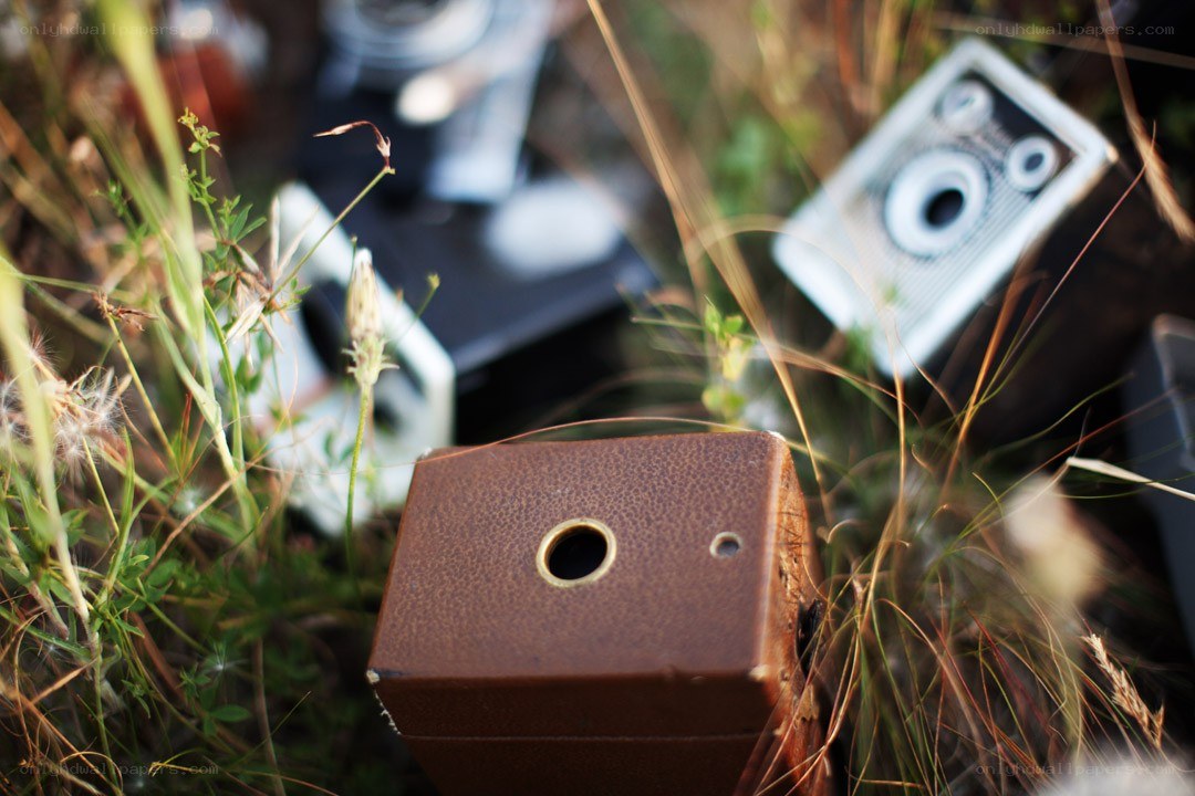 Old cameras in the grass