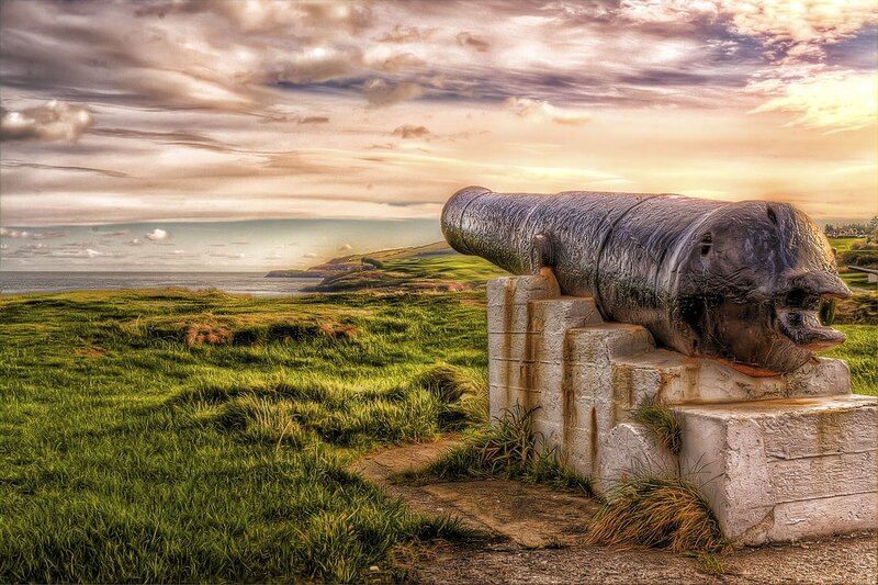 Old Cannon on Grass