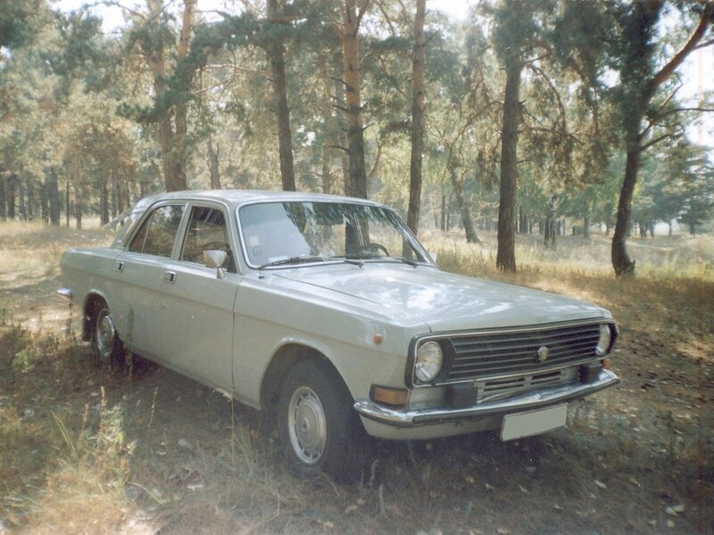 Old car in a forest