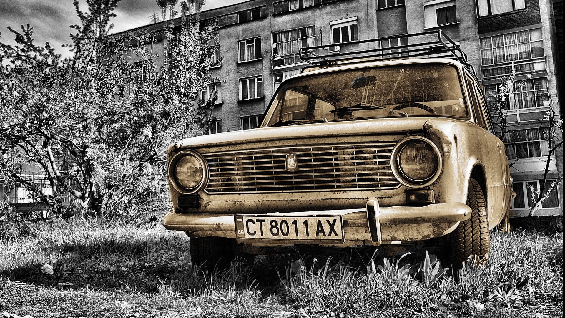Old car in overgrown yard