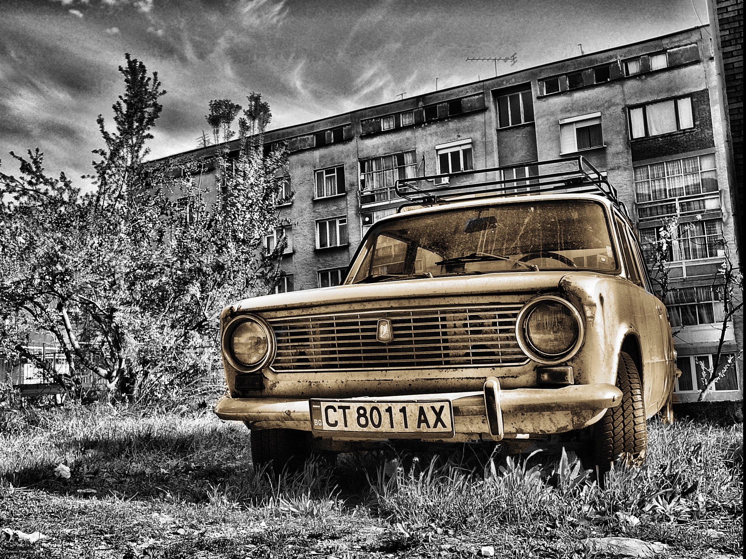 Old car in overgrown yard