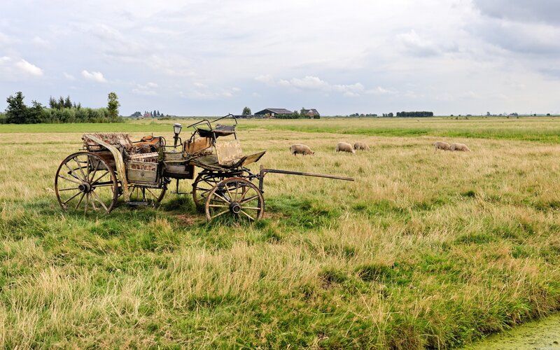 Old Carriage in Field