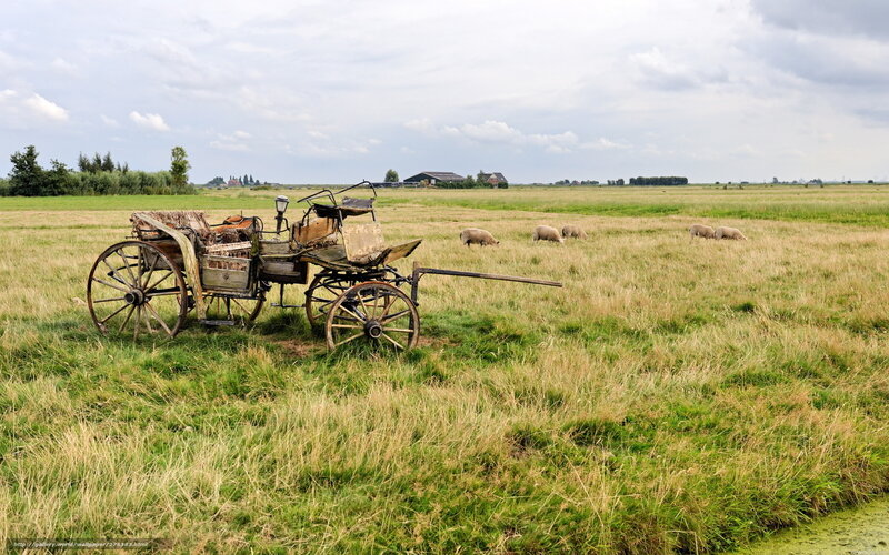 Old cart in a grassy field