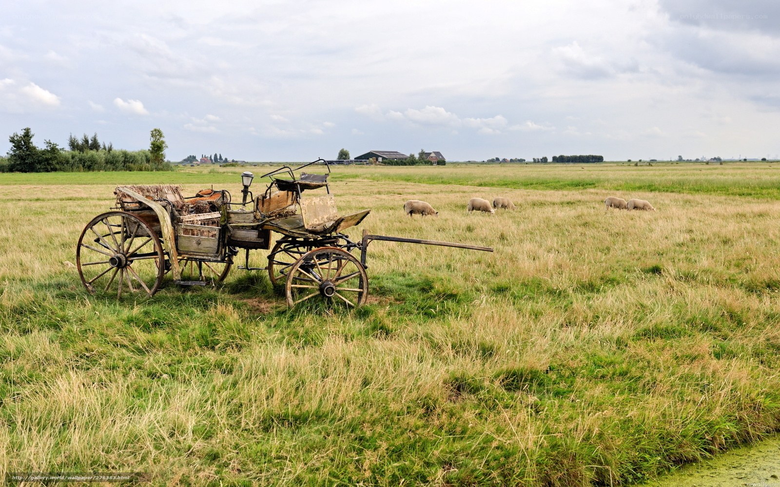 Old cart in a grassy field