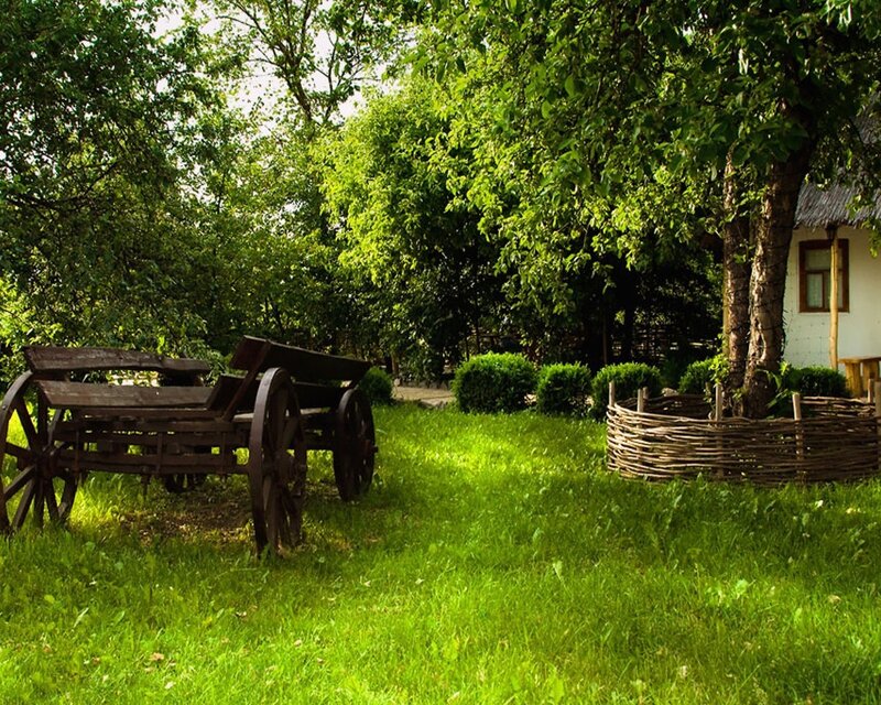 Old cart in a green garden