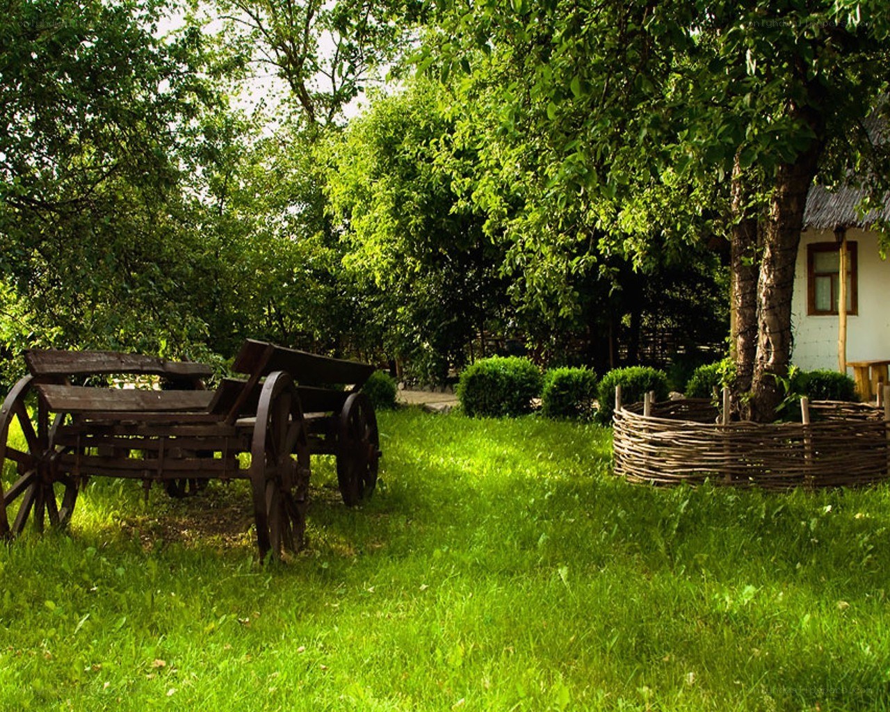 Old cart in a green garden