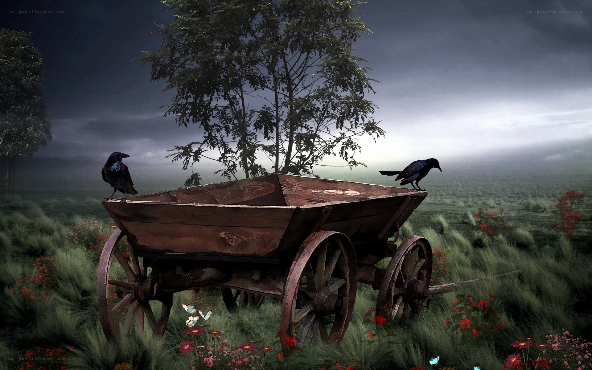 Old cart in a misty field