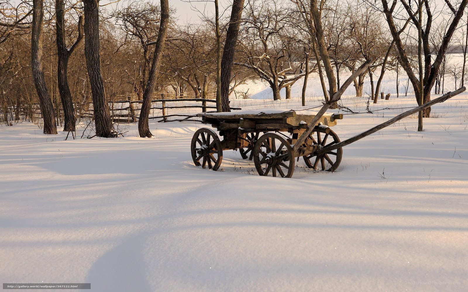 Old cart in snowy forest