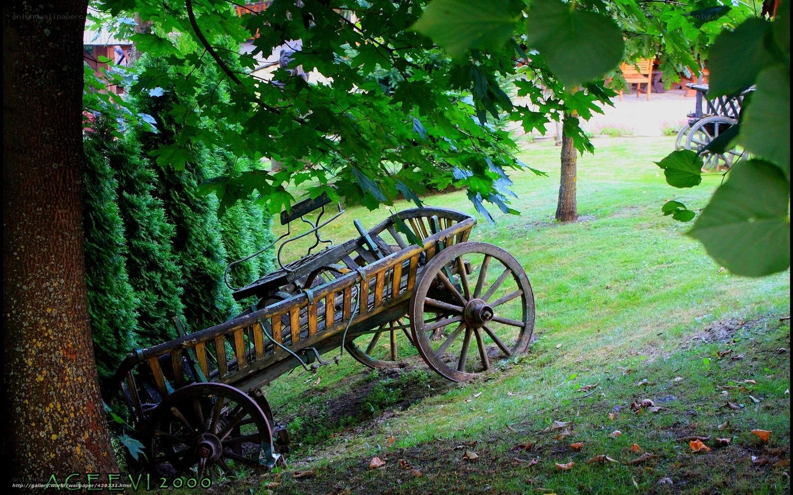 Old cart under a tree