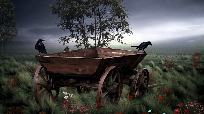 Old Cart with Birds