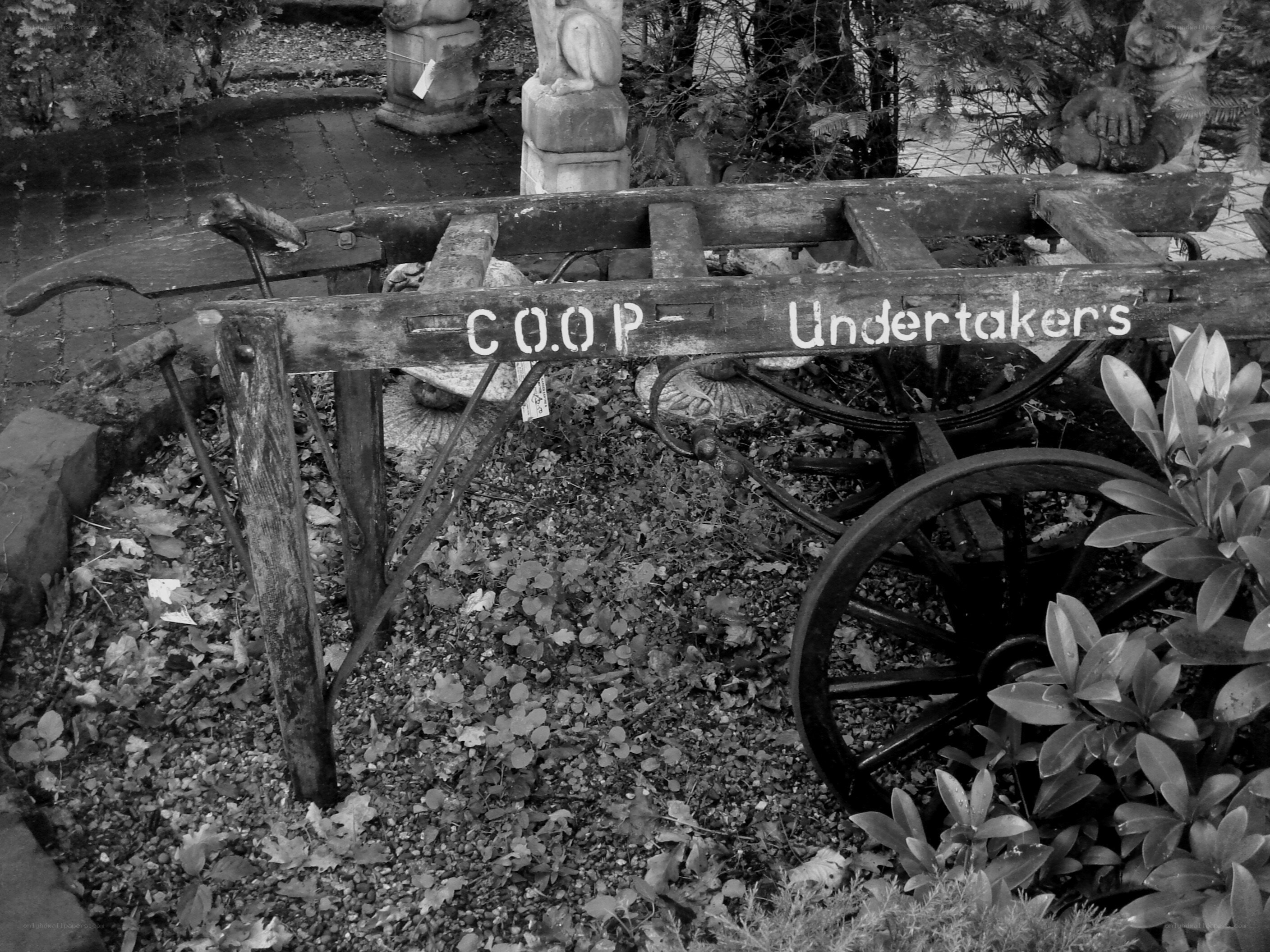 Old cart with CO-OP sign