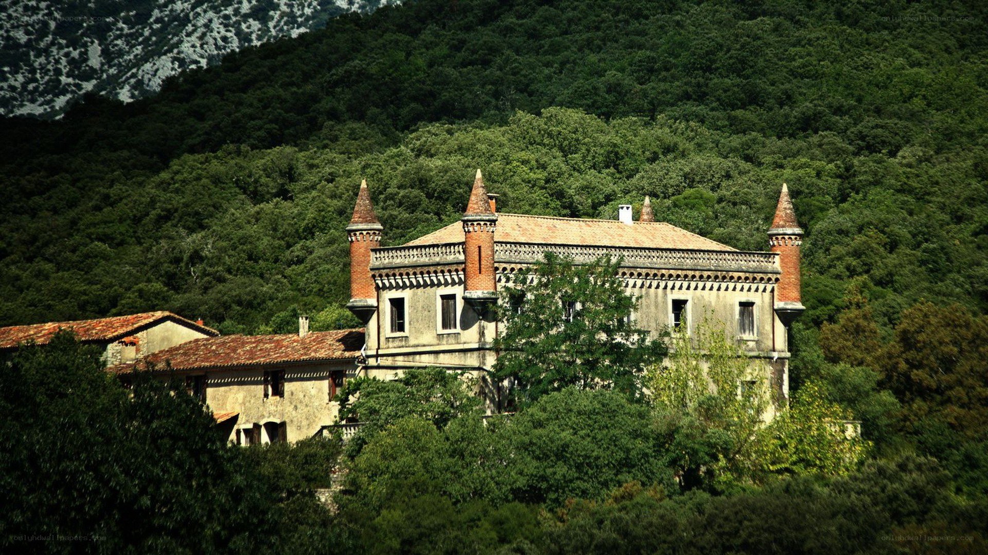 Old castle in forested mountains