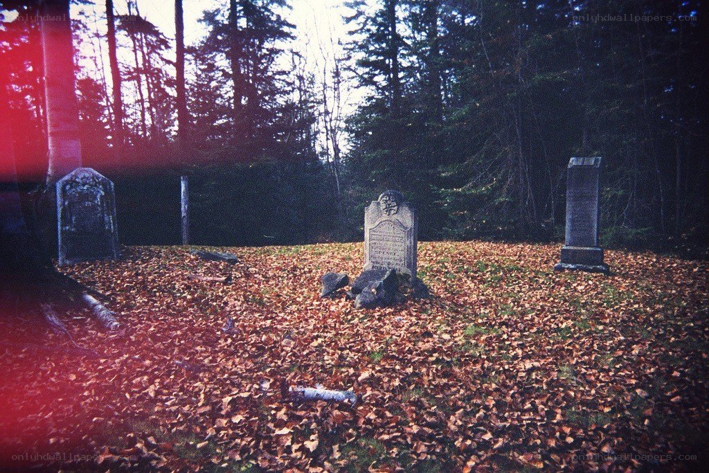 Old cemetery in autumn forest