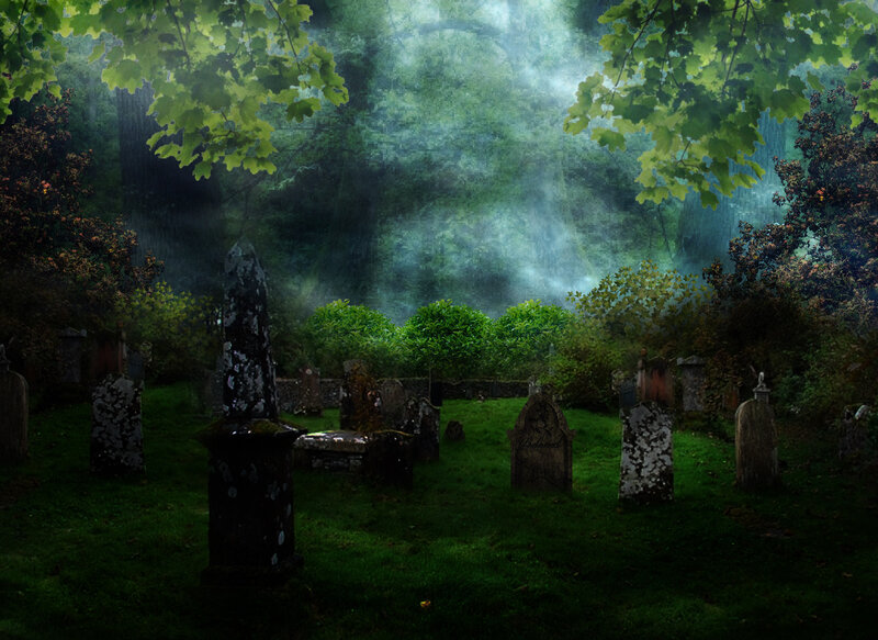 Old Cemetery in Forest — Green