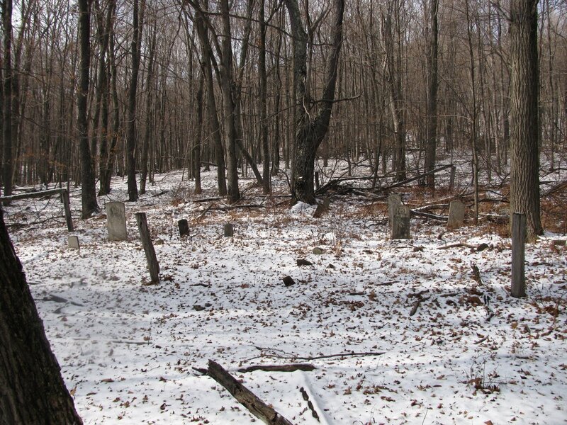 Old Cemetery in Forest