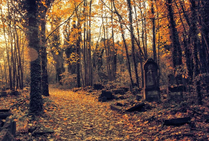 Old Cemetery Path