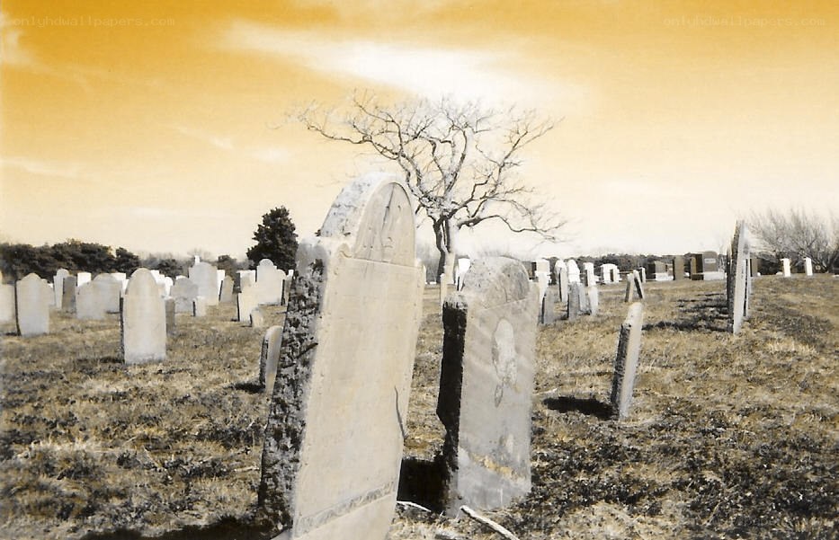Old cemetery with gravestones