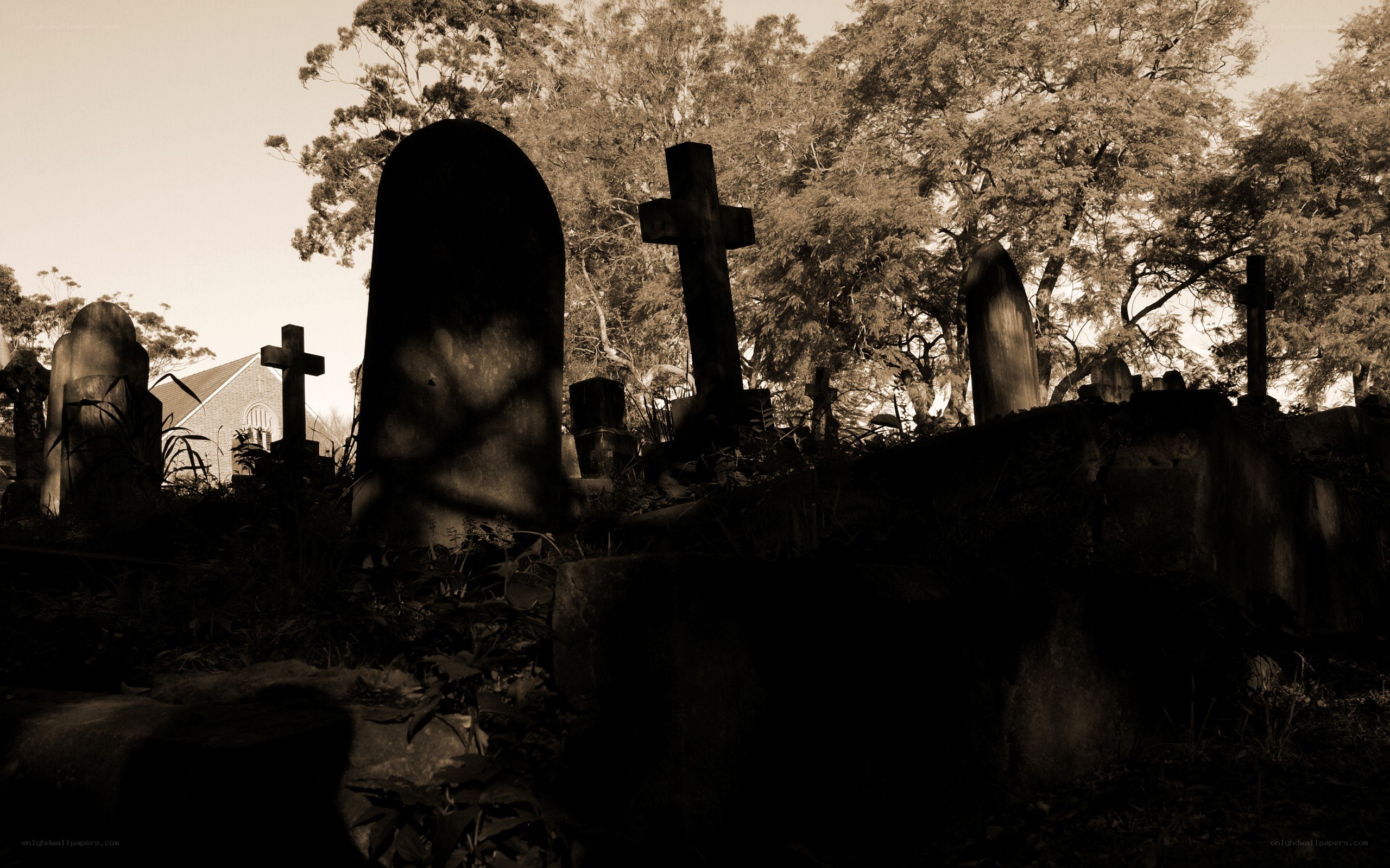 Old cemetery with gravestones