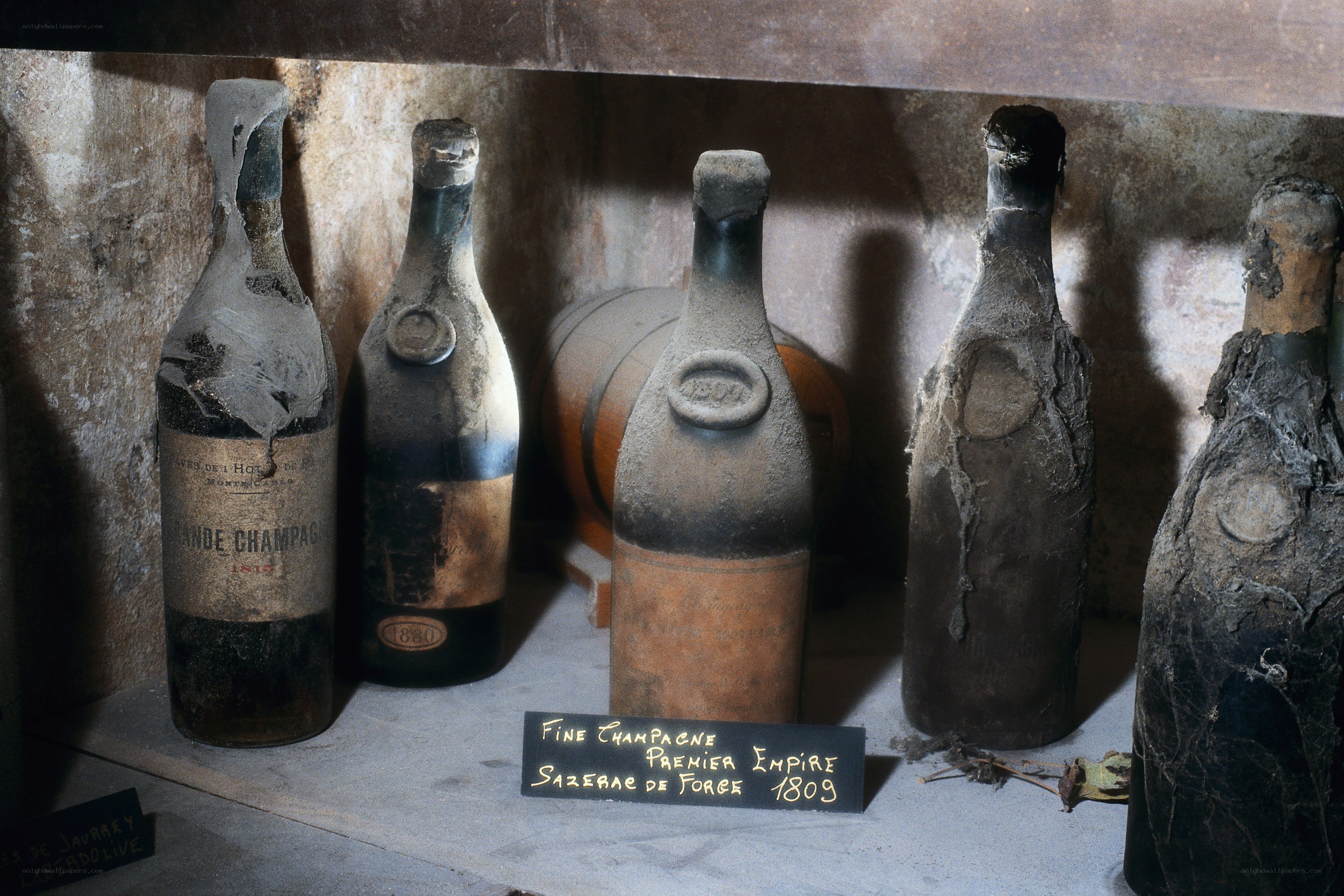 Old champagne bottles in cellar