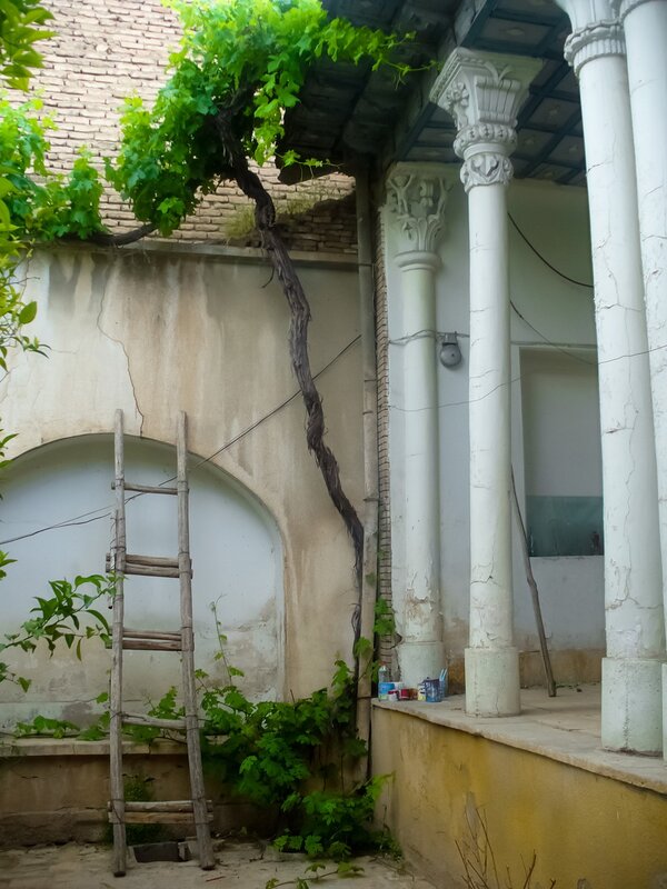 Old courtyard with vines and columns