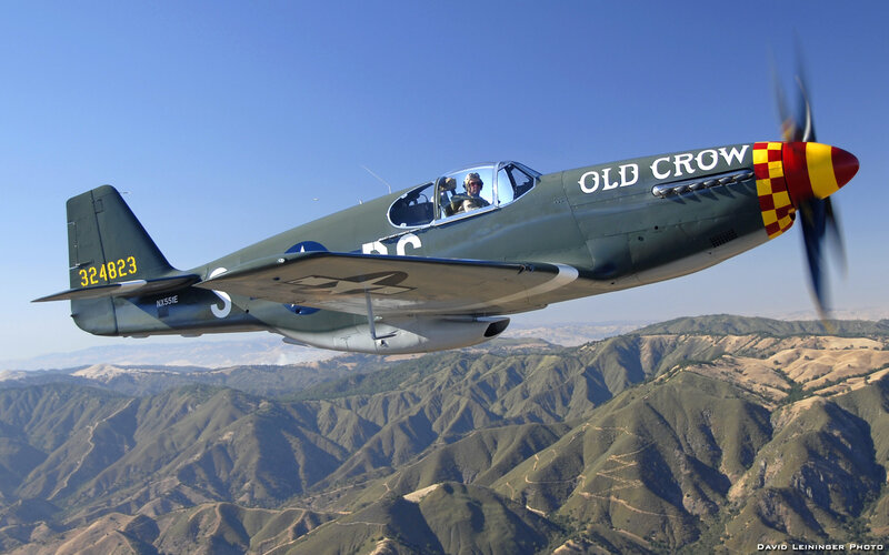 Old Crow P-40 Warhawk in flight
