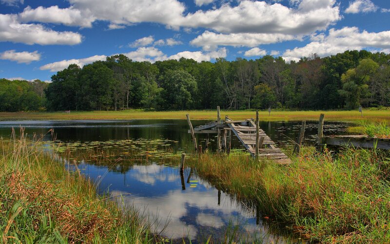 Old dock at a serene lake
