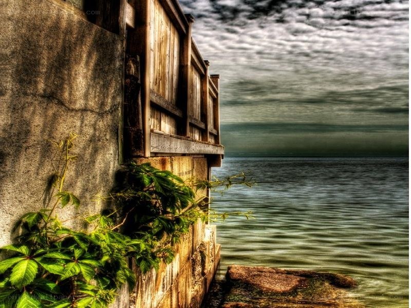 Old dock by the water