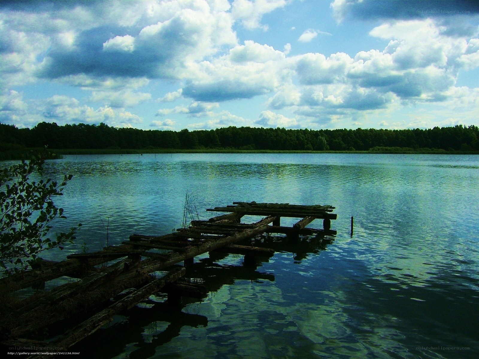 Old dock on a calm lake