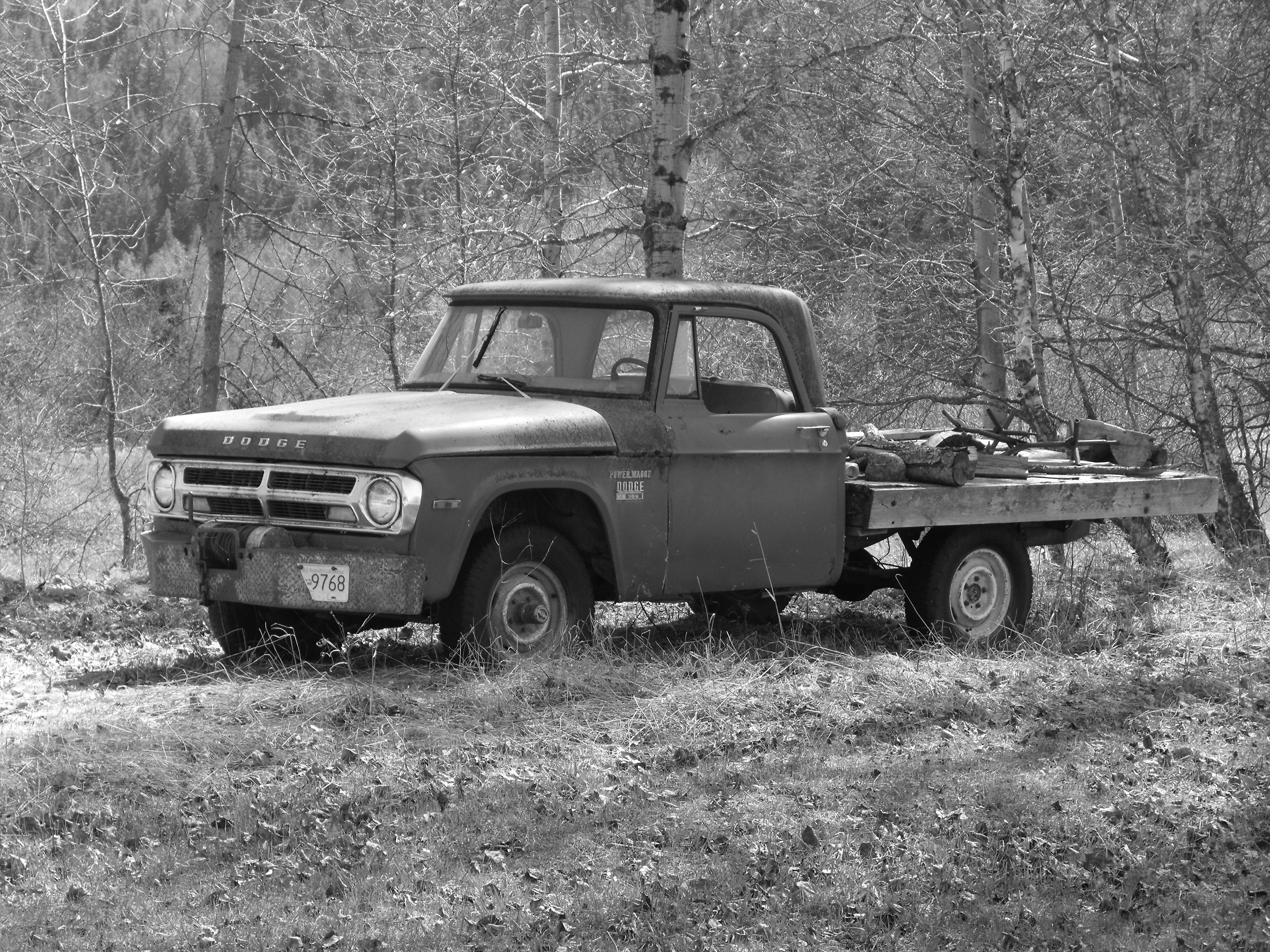 Old Dodge truck in forest