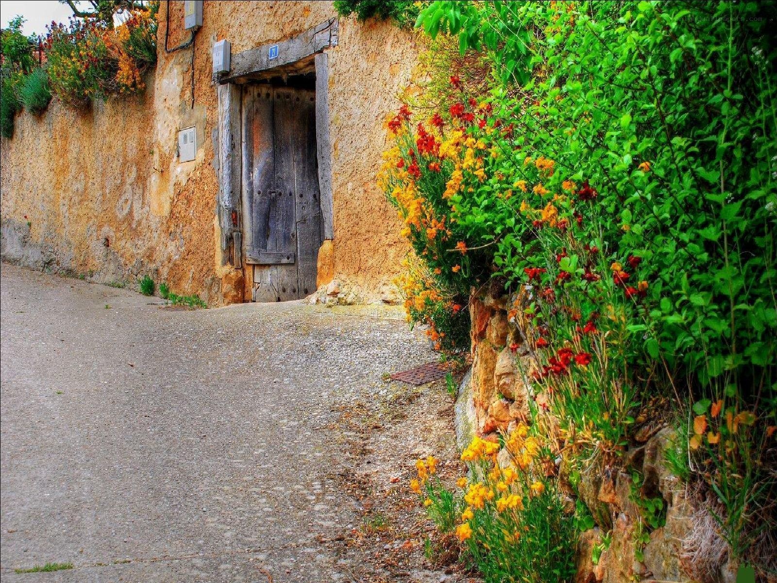 Old door in a stone wall