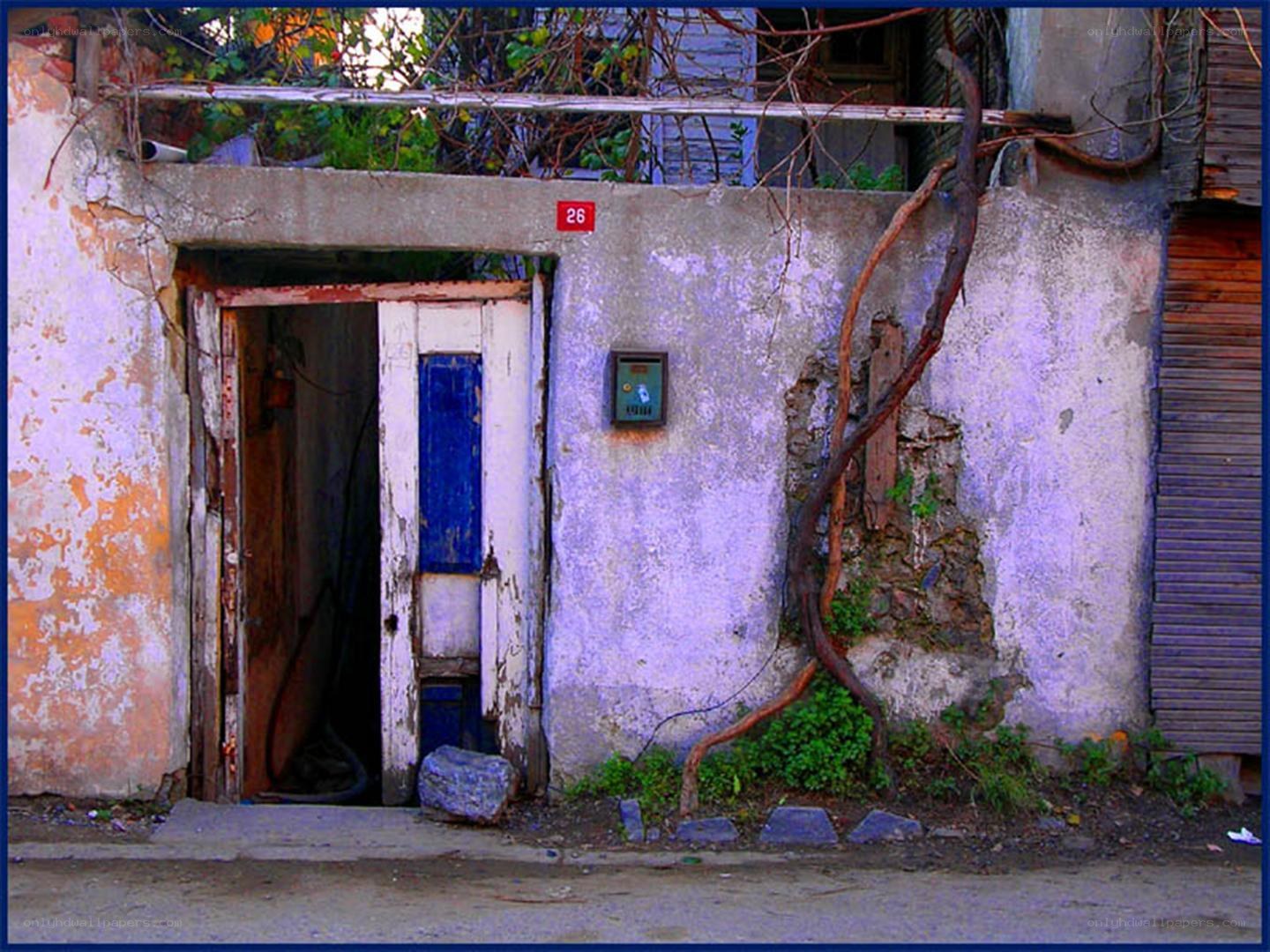 Old door with vines growing