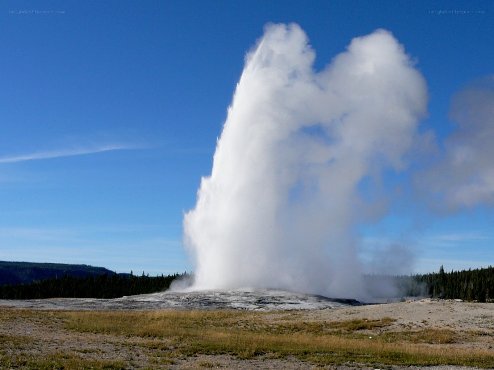 Old Faithful geyser erupting