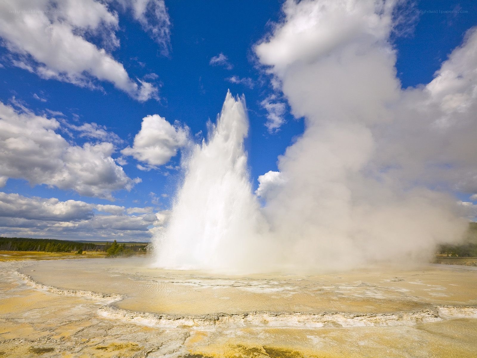 Old Faithful geyser erupting